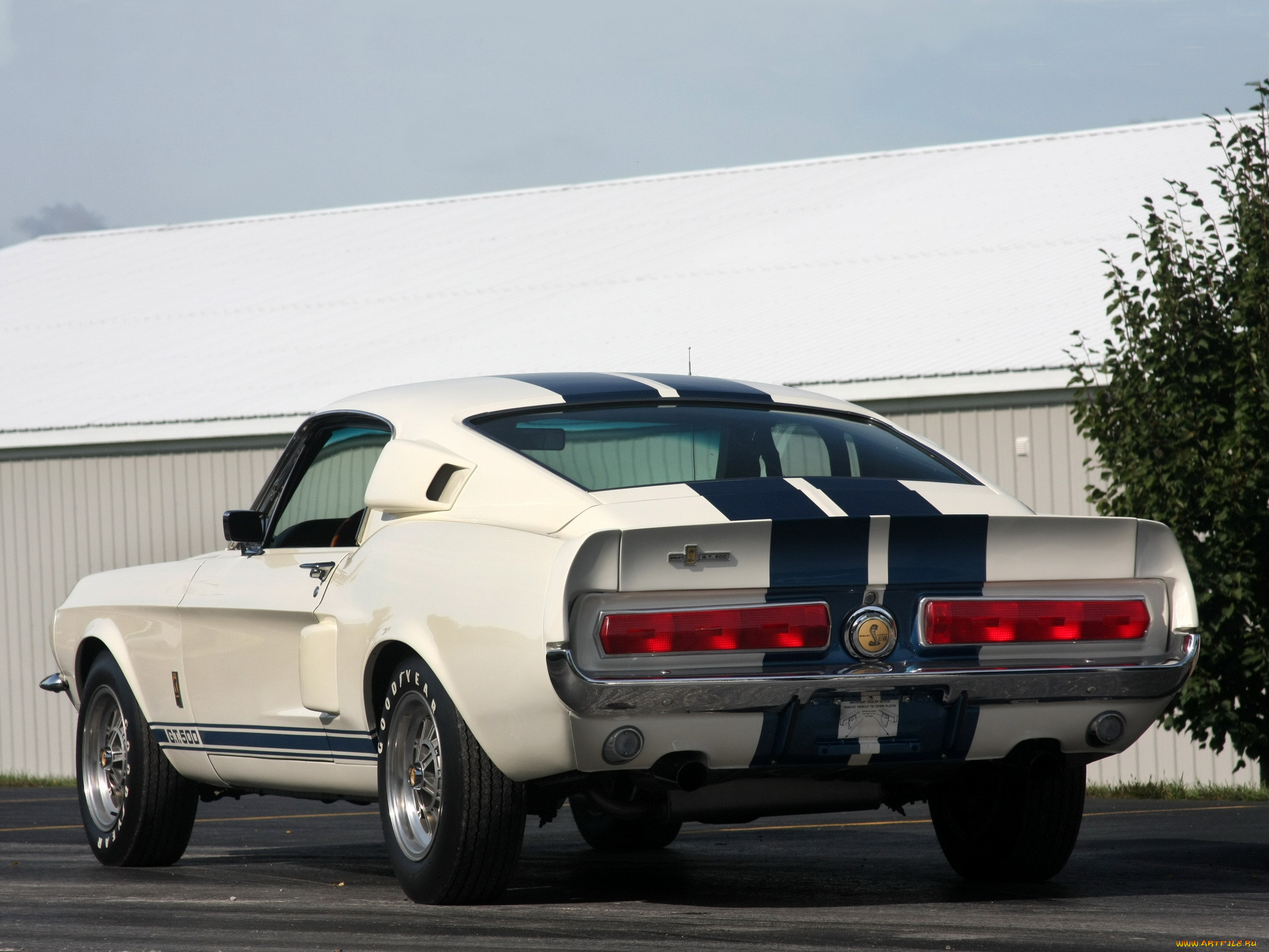 shelby, gt500, , mustang